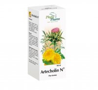 Artecholin N, 4,55 g/5 ml, płyn, 100 ml